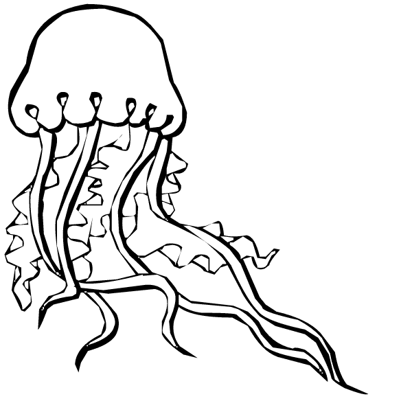 planse desene de colorat meduza